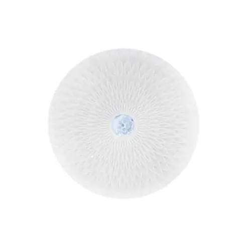 Светодиодный светильник потолочный RADIUS-36 Светодиодный светильник потолочный RADIUS-36