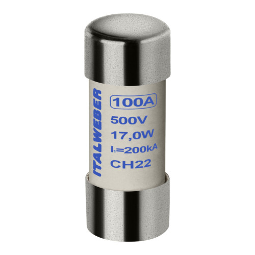 Предохранитель цилиндрический Italweber CH22 100A aR 22×58 690V Предохранитель цилиндрический Italweber CH22 100A aR 22×58 690V